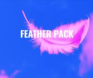 Condom Hut Feather Pack Curated Box